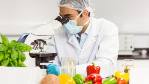 Qida Təhl&uuml;kəsizliyi Agentliyi iş&ccedil;i axtarır  &nbsp;