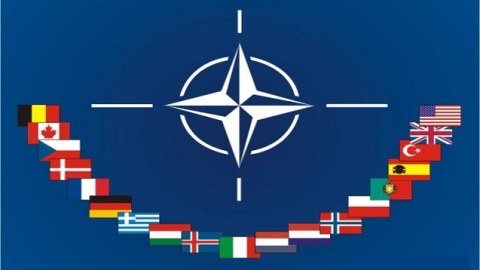 Brüsseldə NATO-nun 29-cu sammiti başlayıb