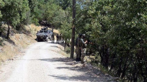 Türkiyə daha 10 terrorçunu məhv etdi