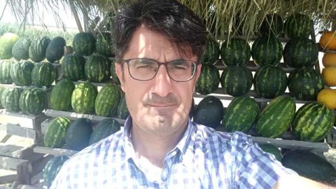Avqust da gəldi, qarpız-yemiş ucuzlaşmadı - EKSPERT: “Bir az da gözləyək”  