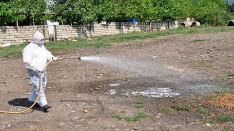 Diri heyvan satılan yerlərdə dezinfeksiya işləri başa çatıb