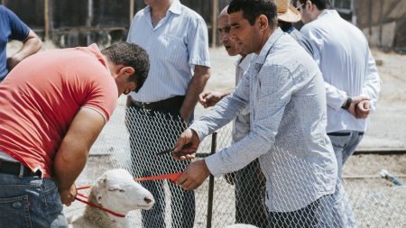 Yarmarkalar bu gündən fəaliyyətə başlayır