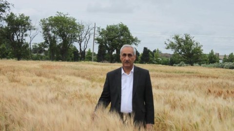 İnstitut direktoru: “Fermerlər öz buğda sortlarımızı əksinlər” - MÜSAHİBƏ