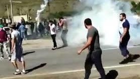 Şimali Qafqazda qarşıdurma  - Video 