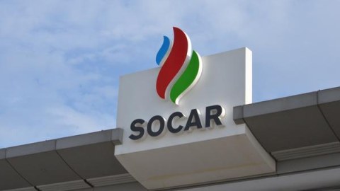 SOCAR həşəratla bağlı araşdırmaya BAŞLADI