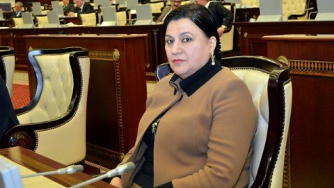 Xanım deputat məktəblərdəki rus sektorlarına qarşı çıxdı