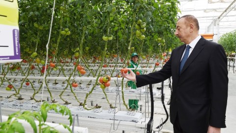 Prezident İlham Əliyevin aqrar siyasəti 15 ildə   