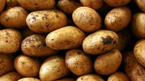 Gömrük Komitəsi 26 ton zərərli kartofla bağlı şayiələrə son qoydu - FOTOLAR