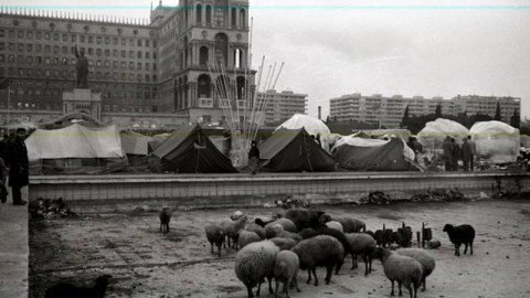 Bir şəklin tarixçəsi: Azadlıq meydanı, insanlar, çadırlar və qoyunlar...   