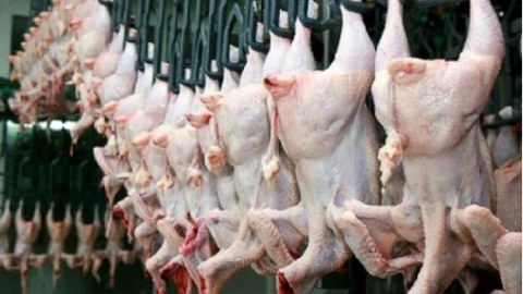 Quş əti və yumurta idxalına görə rüsumların qüvvədə olma müddəti uzadılıb