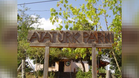 Bakı Meriyasından Atat&uuml;rk parkındakı s&ouml;k&uuml;nt&uuml; ilə bağlı A&Ccedil;IQLAMA  &nbsp;
