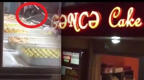 Piştaxtasında siçan gəzən “Gəncə Cake House”ın fəaliyyəti DAYANDIRILDI