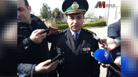 Kinoloji Mərkəzin rəisi: “Çoban itinin saxlanma xərci 1-2 min manatdır”