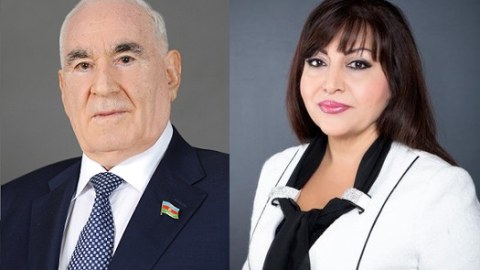 Milli Məclisin komissiyasına sədr və katib seçildi