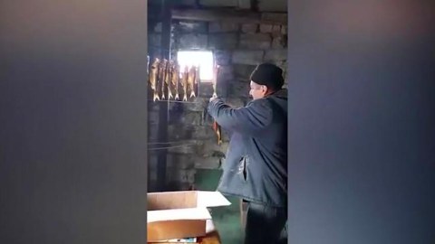 Balıqları donuz, it saxlanan məkanda hisə verən şəxs saxlanılıb - VİDEO