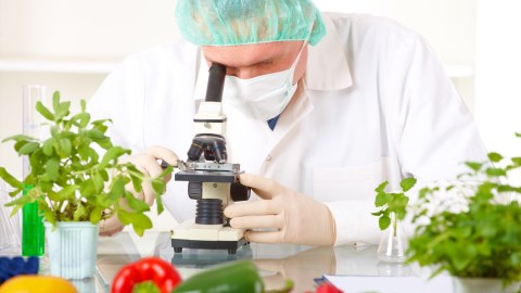 Qida Təhl&uuml;kəsizliyi Agentliyindən sahibkarlara XƏBƏRDARLIQ