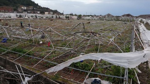 Fermerlərə 5,1 milyard təzminat verilib