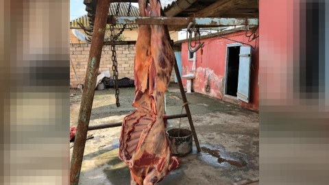 150 kiloqram yararsız ət aşkarlandı