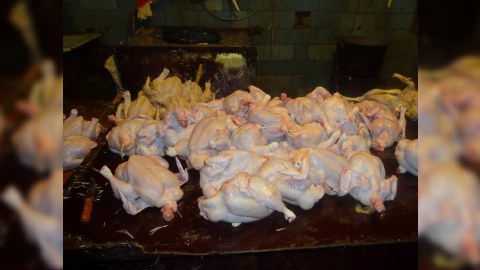Bakıda qanunsuz toyuq  kəsimi sexi aşkarladı - FOTOLAR