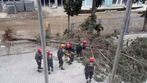 Gürcüstanda bayram tədbiri dağıldı - SƏBƏB