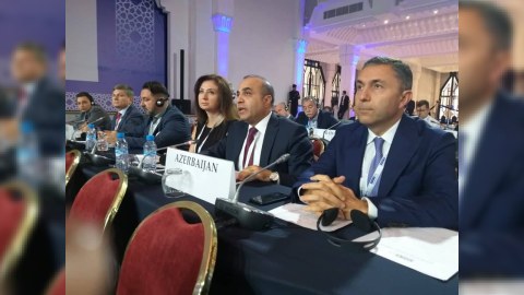 Azay Quliyev Prezidentin mövqeyini ATƏT PA-ya çatdırdı - VİDEO