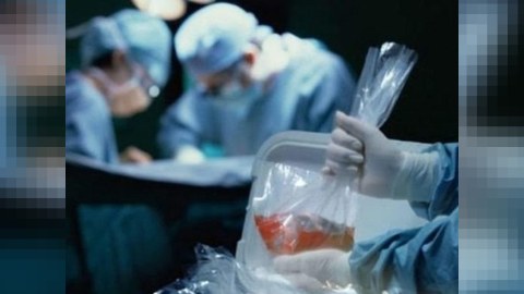 Azərbaycanda orqanlarını bağışlayanlar çoxalıb - Vəsiyyətnamə yazırlar 