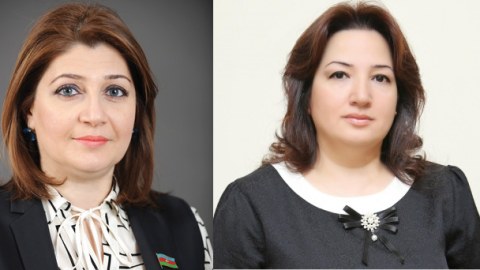 Deputatlar: “Nöqsanlara yol verən direktorun cəzalandırılması başqalarına dərs olacaq”