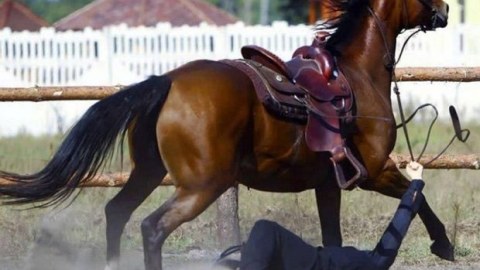 Goranboyda qadını ata bağlayıb sürüyənlər polisə APARILDI  