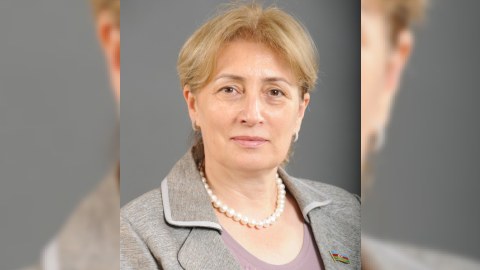 Məlahət İbrahimqızından Araz Əlizadəyə SƏRT İTTİHAM: “Azərbaycan-Türkiyə düşmənlərinin sifarişini icra edib” 