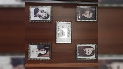 Bir bahar çiçəyi - Muşfiq ömrü