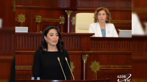 Vitse-spiker yeni Ombudsmandan yazdı - FOTO