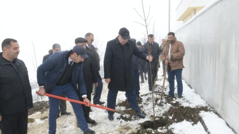 Leriklilər ağacəkmə kampaniyasında fəal iştirak ediblər - FOTO