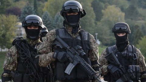 260 terrorçu zərərsizləşdirildi