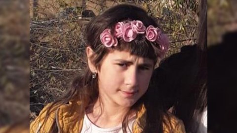 “Telekanallara tələblər qoya bilərik” - Dövlət Komitəsi