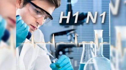 Ermənistanda “donuz qripi”ndən ölüm halı qeydə alınıb