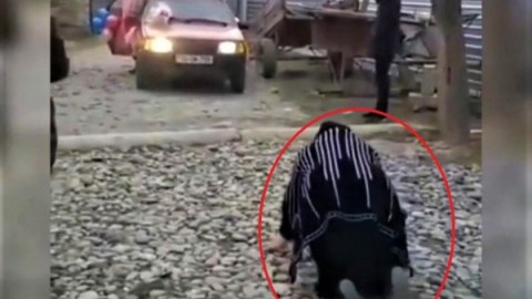 Azərbaycanda 18 il sonra doğulan nəvəsini nənə belə qarşıladı - VİDEO