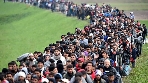 90 min qaçqın Türkiyə sərhədinə köçdü