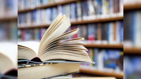 Kurikulum və Boloniya sistemləri nə dərəcədə faydalıdır?