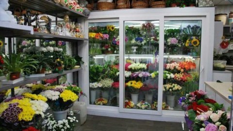 8 Mart günü gül dükanlarında qiymətlər - Fotolar
