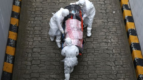Amerika azərbaycanlılarından koronavirus XƏBƏRİ