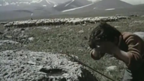 Tutduğum niyyət isə bu idi: ”Bir də Qarabağa qayıdacağammı?”