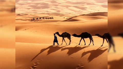 Daha 2 ölkədə koronavirus aşkarlandı