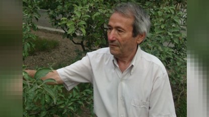 Koronavirusun qənimi olan ÜÇLÜK: çiy su - limon - sarımsaq   