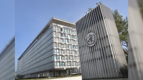 ÜST səhlənkarlıqda ittiham olunur - Nyu York sakinləri məhkəməyə üz tutdu