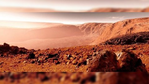 Ərəblər Marsda çiyələk və pomidor əkməyi planlaşdırırlar