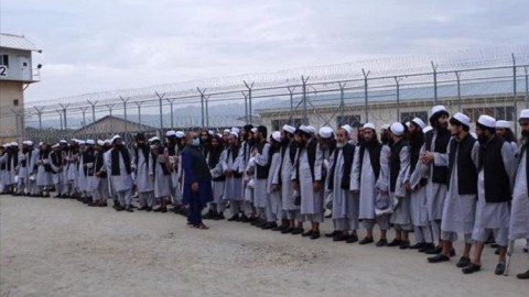 "Taliban"ın daha 100 üzvü həbsdən azad edilib