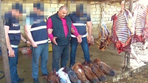 At ətini mal əti kimi satanlar tutuldu - FOTOLAR 