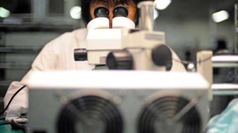 Yaşı 115 milyon il olan göbələk aşkar edildi
