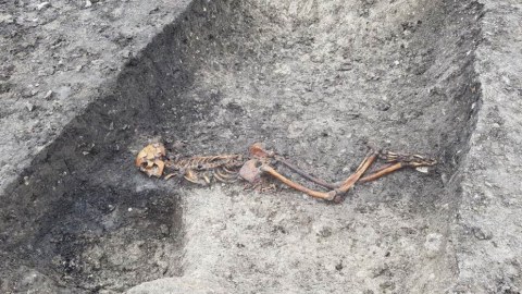 İngiltərədə 2500 il bundan əvvələ aid insan skeleti tapıldı
