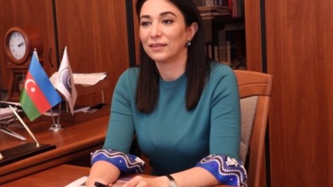 Ombudsman Bərdədə qaçırıldığı deyilən 17 yaşlı qıza zəng edib 